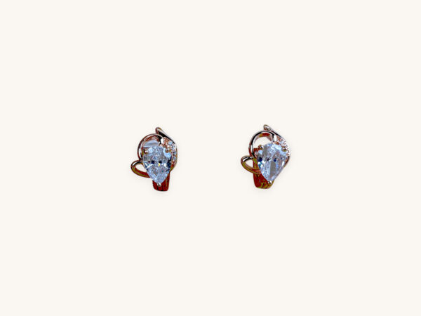 Rose Gold Earrings