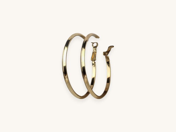 Large Hoop Earrings
